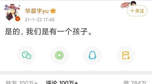 并不十分娱乐圈完结版 
