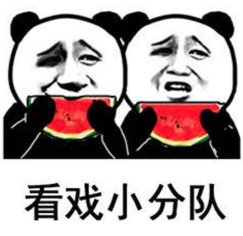娱乐圈疑云 