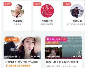 消消乐吃鸡手游 