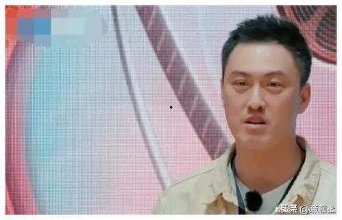 娱乐圈疑云 
